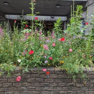 Meet your Posher, Chloe